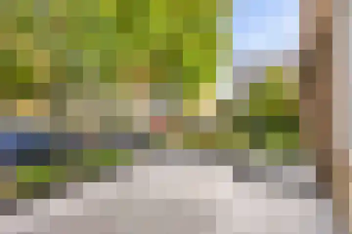 Van Bosseplantsoen 8 Dordrecht thumbnail 6