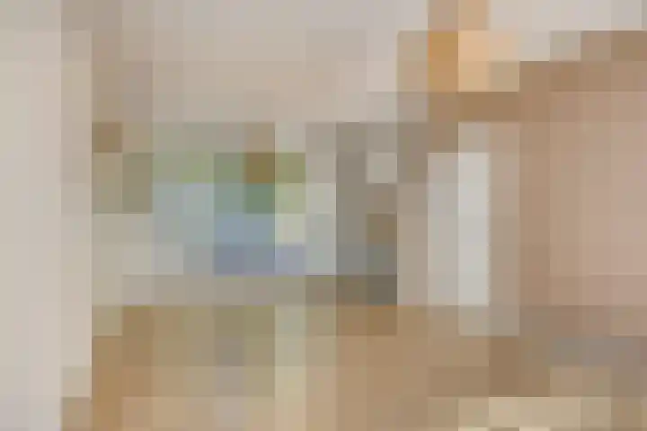 Van Bosseplantsoen 8 Dordrecht thumbnail 8
