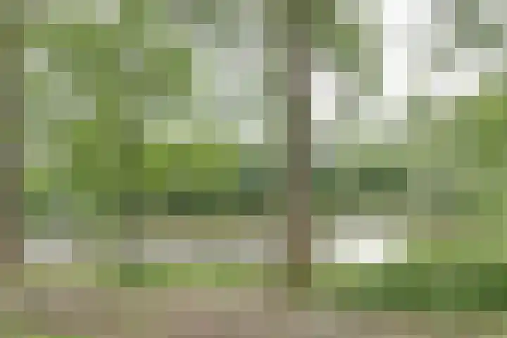 Van Bosseplantsoen 86 Dordrecht thumbnail 26