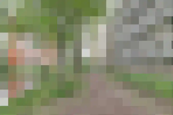 Van Bosseplantsoen 86 Dordrecht thumbnail 28