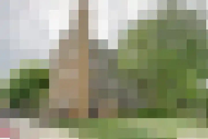 Van Bosseplantsoen 86 Dordrecht thumbnail 29