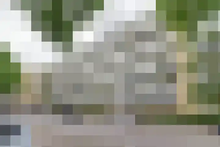 Van Bosseplantsoen 86 Dordrecht thumbnail 33