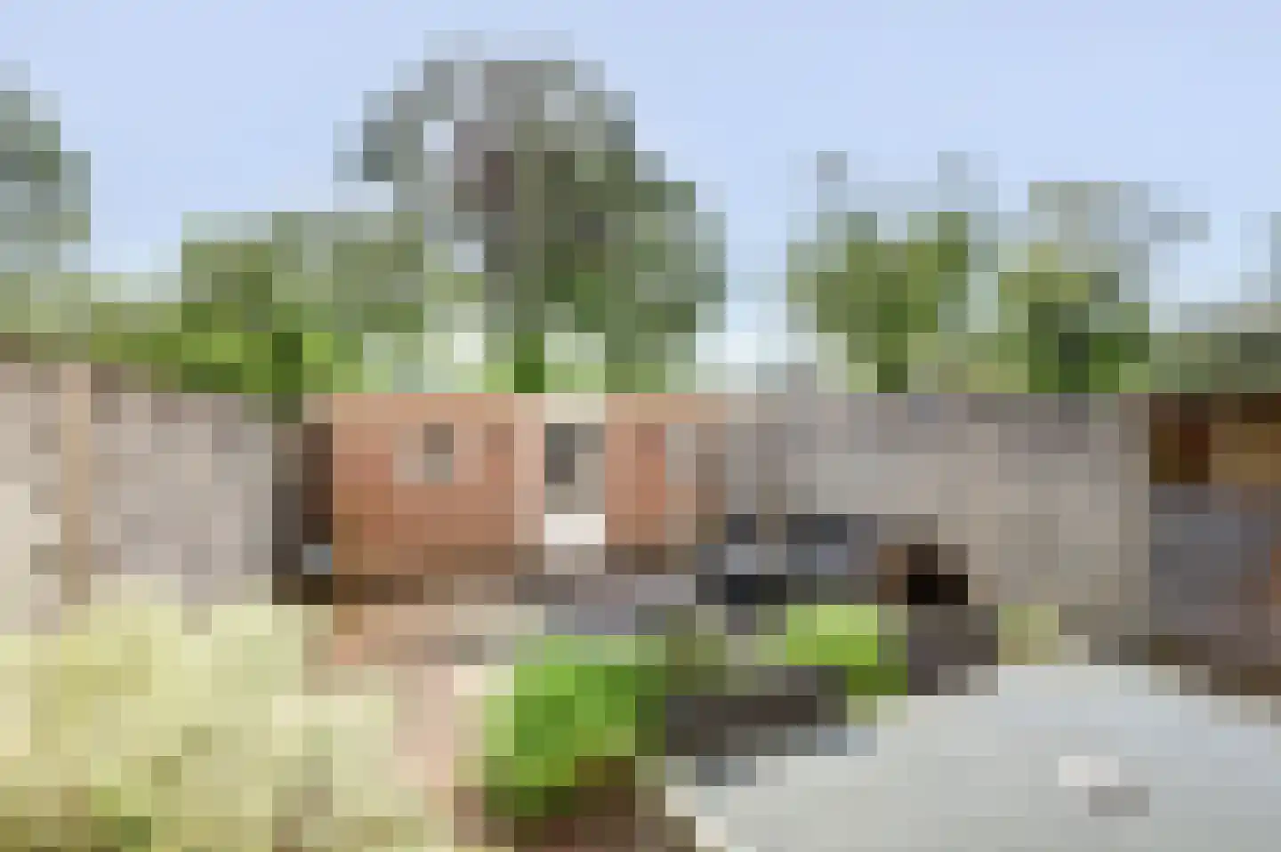 Van Bosseplantsoen 9 Dordrecht thumbnail 29