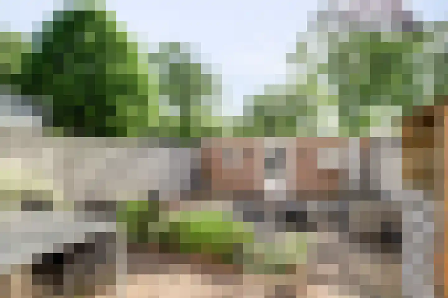 Van Bosseplantsoen 9 Dordrecht thumbnail 30