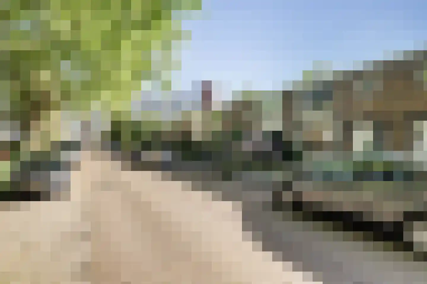 Van Bosseplantsoen 9 Dordrecht thumbnail 34