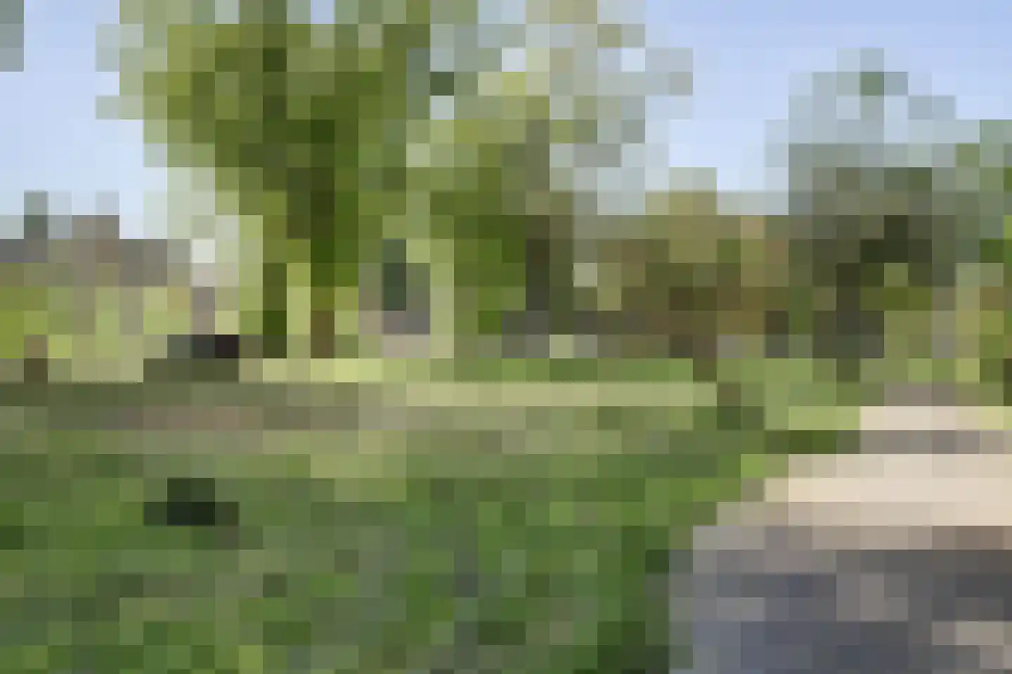 Van Bosseplantsoen 9 Dordrecht thumbnail 37