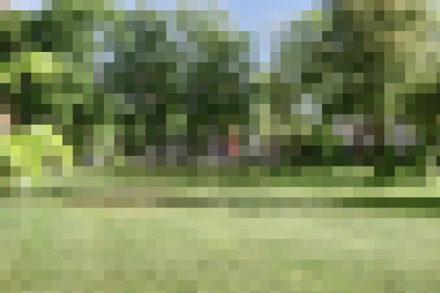Van Bosseplantsoen 9 Dordrecht thumbnail 39