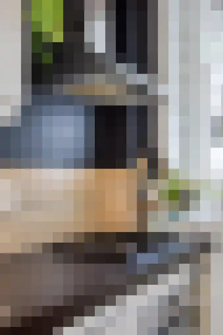 Van Bossestraat 10 1 Amsterdam thumbnail 14