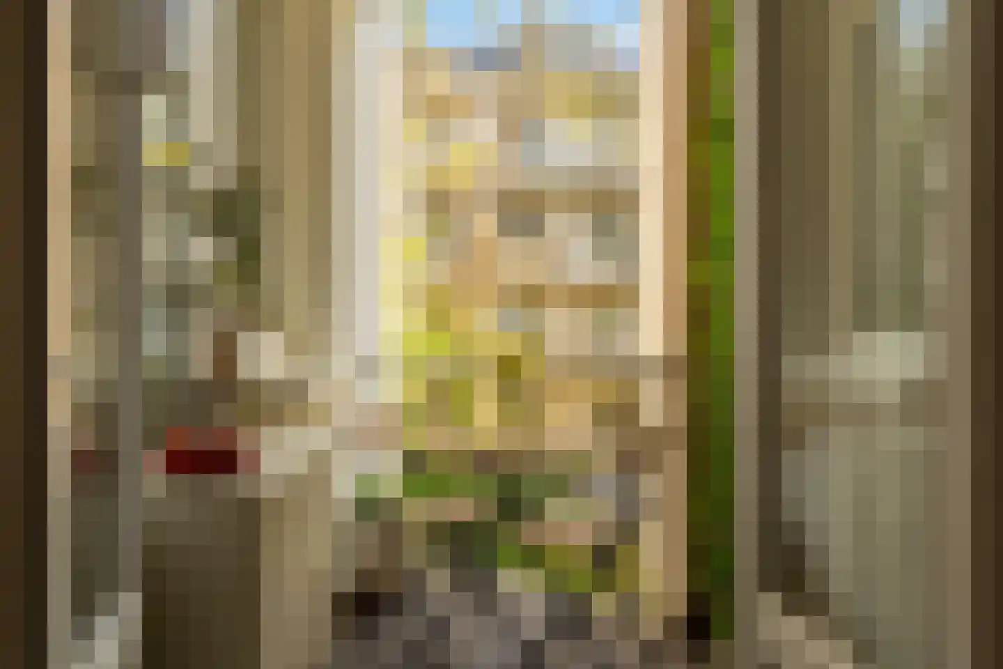 Van Bossestraat 17 1 Amsterdam thumbnail 12