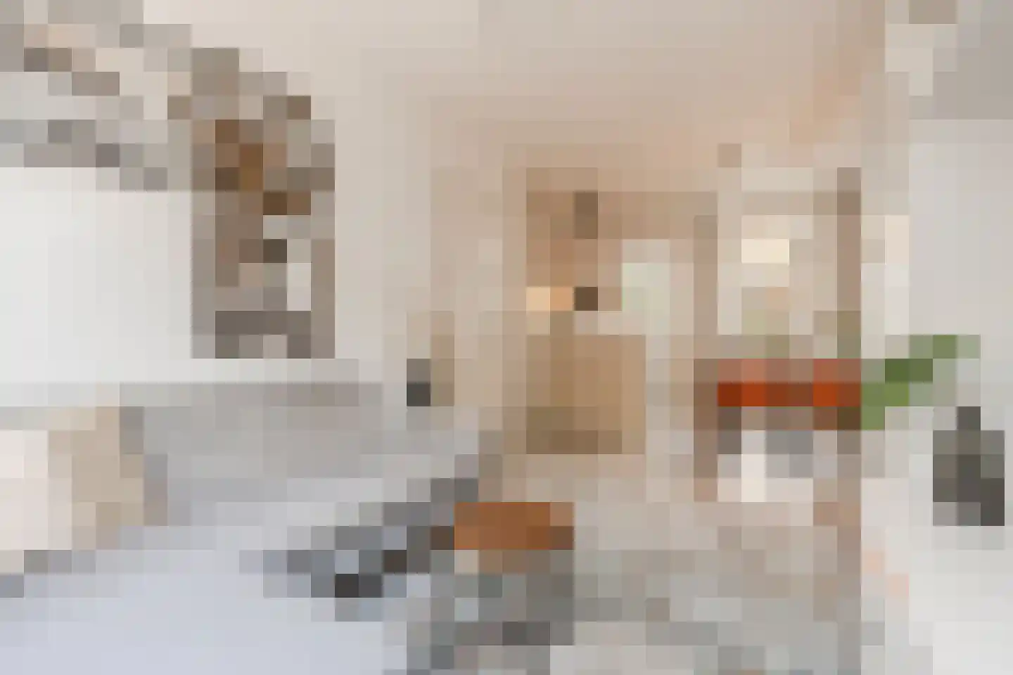 Van Bossestraat 17 1 Amsterdam thumbnail 5