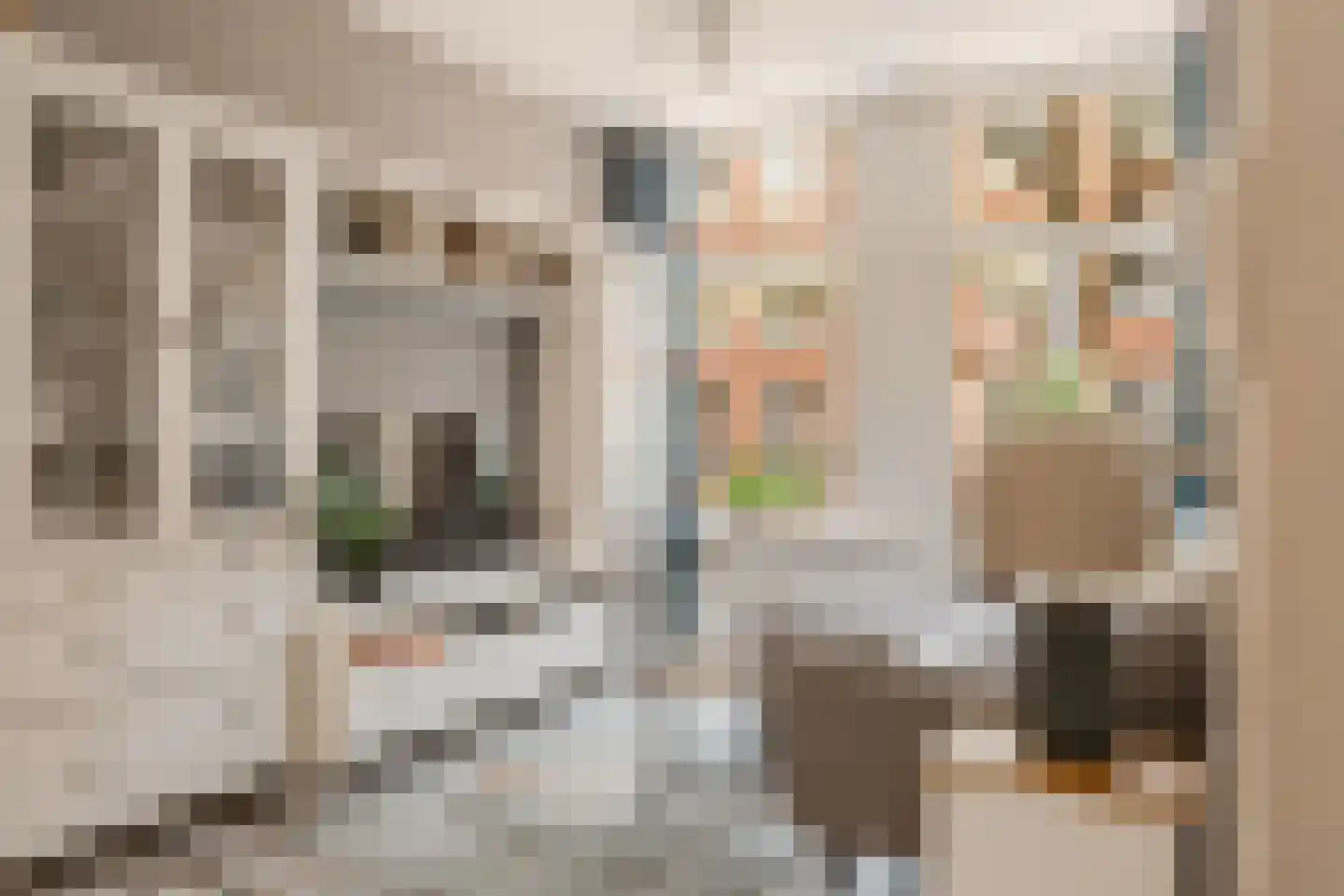 Van Bossestraat 17 1 Amsterdam thumbnail 7