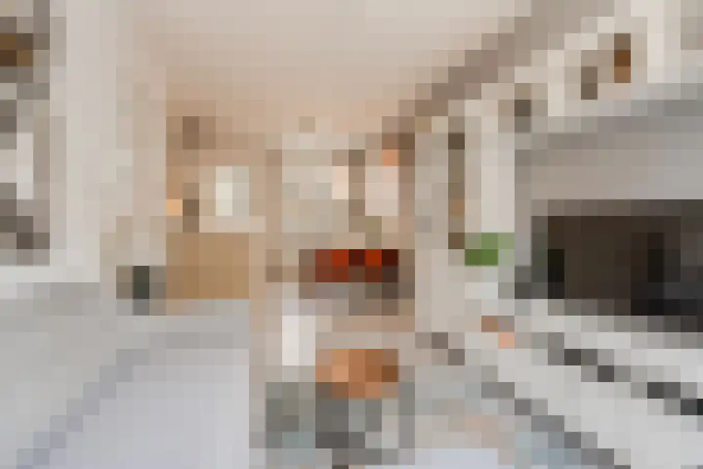 Van Bossestraat 17 1 Amsterdam thumbnail 8