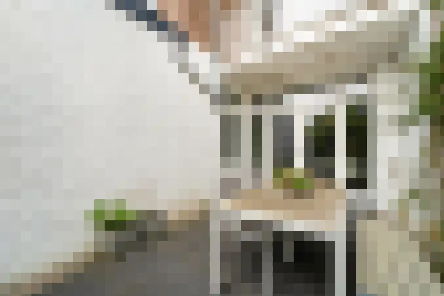 Van Bossestraat 17 Delft thumbnail 27