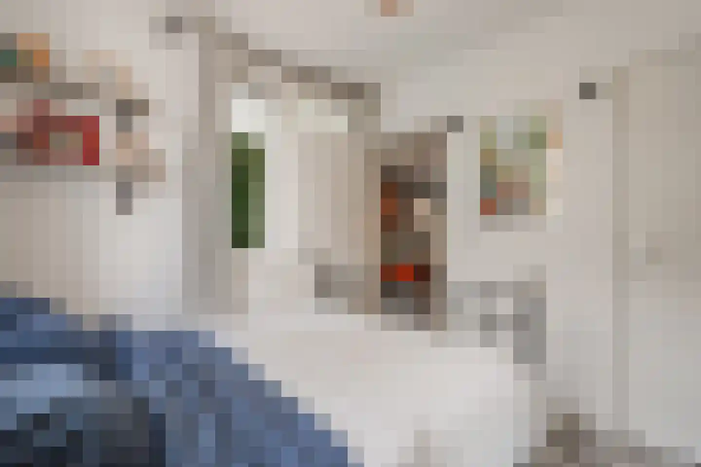 Van Bossestraat 17 H Amsterdam thumbnail 19