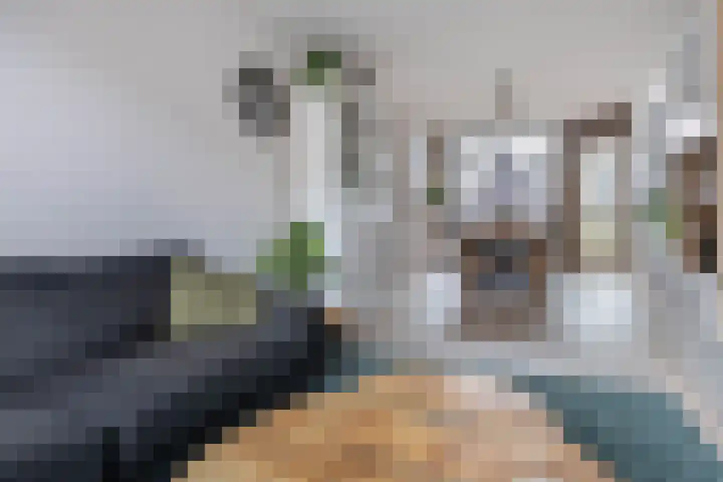 Van Bossestraat 18 Delft thumbnail 9