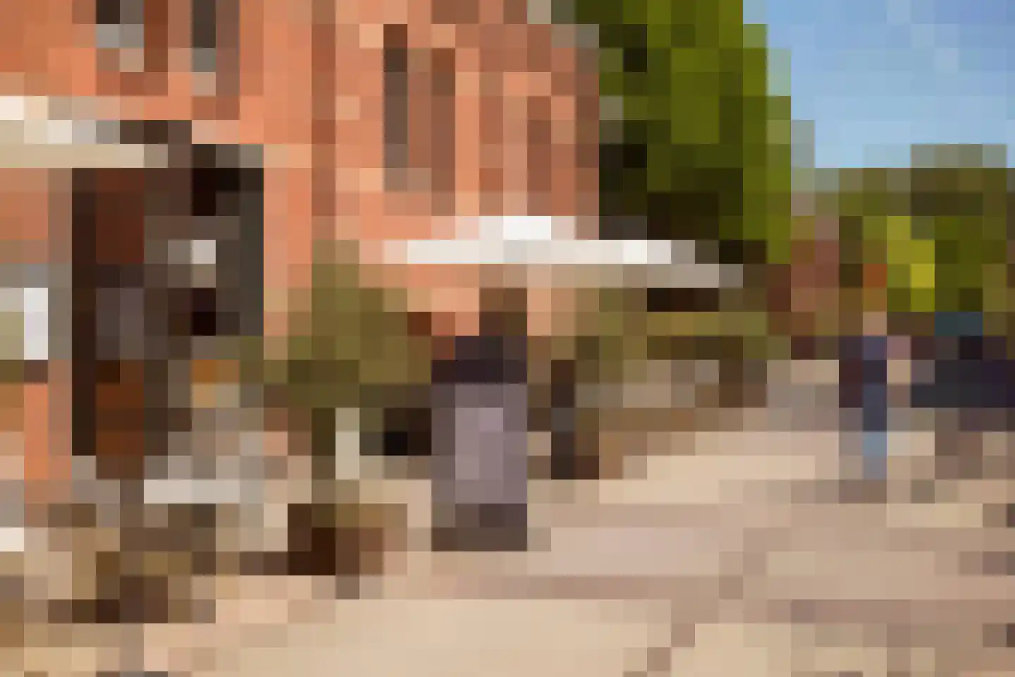 Van Bossestraat 20 2 Amsterdam thumbnail 20