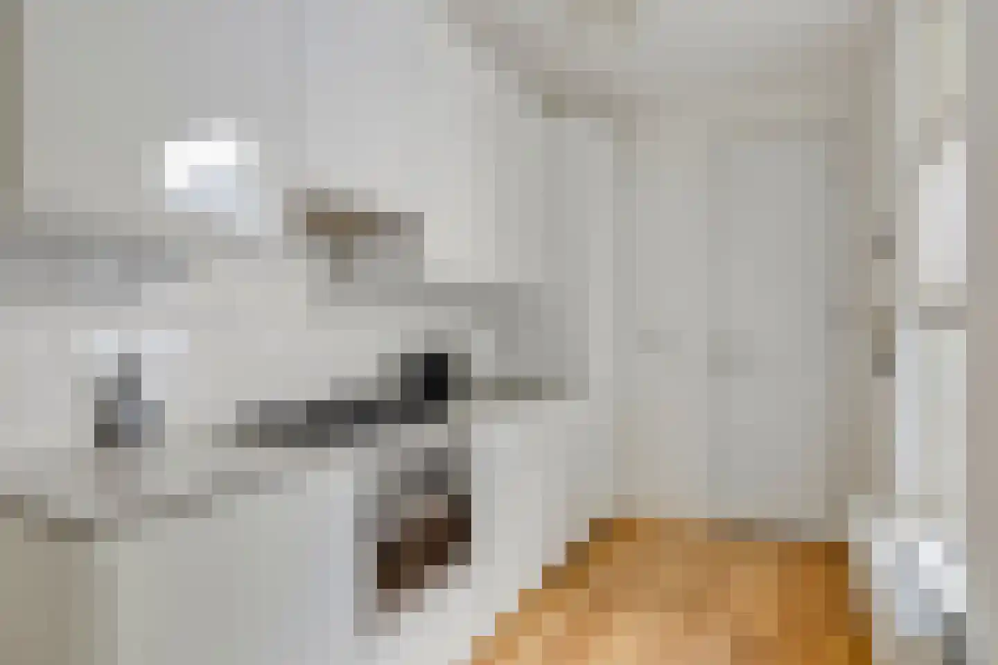 Van Bossestraat 20 2 Amsterdam thumbnail 5