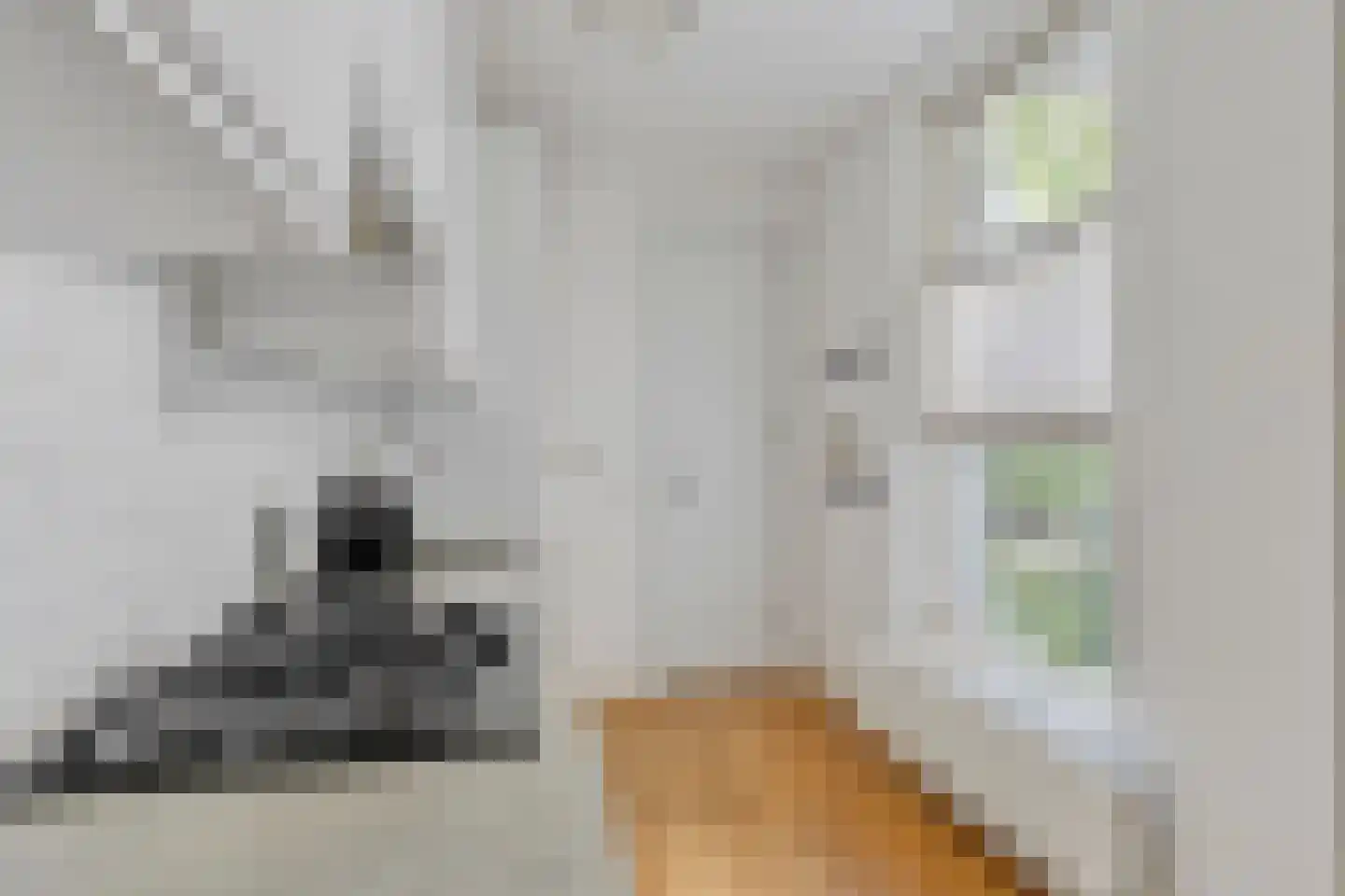 Van Bossestraat 20 2 Amsterdam thumbnail 6