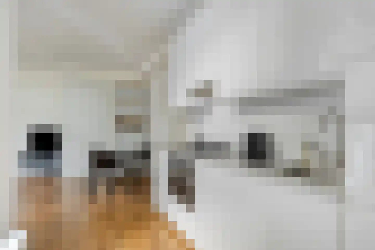 Van Bossestraat 20 2 Amsterdam thumbnail 7