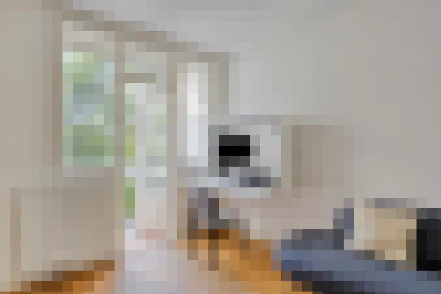 Van Bossestraat 20 2 Amsterdam thumbnail 9