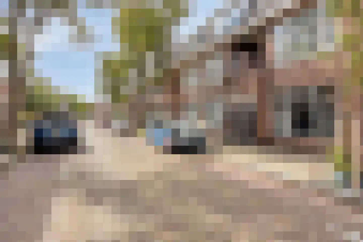 Van Bossestraat 28 Delft thumbnail 16