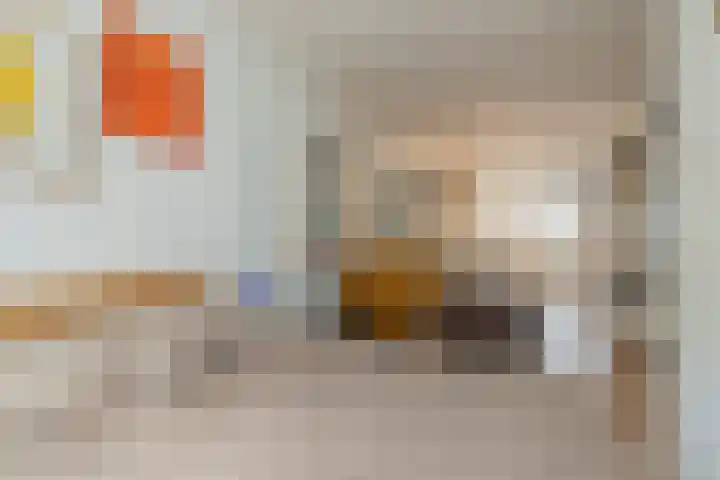 Van Bossestraat 39 3 Amsterdam thumbnail 11