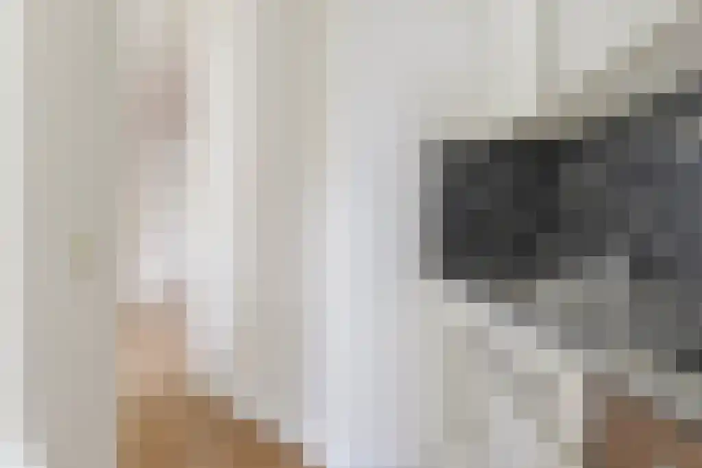 Van Bossestraat 40 2 Amsterdam thumbnail 12
