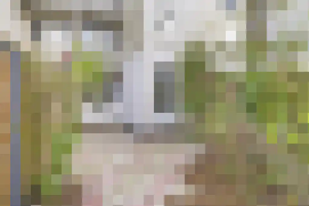 Van Bossestraat 40 2 Amsterdam thumbnail 17