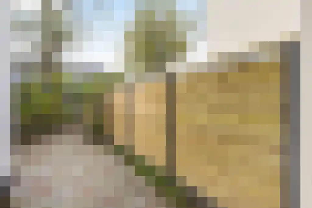 Van Bossestraat 40 2 Amsterdam thumbnail 18