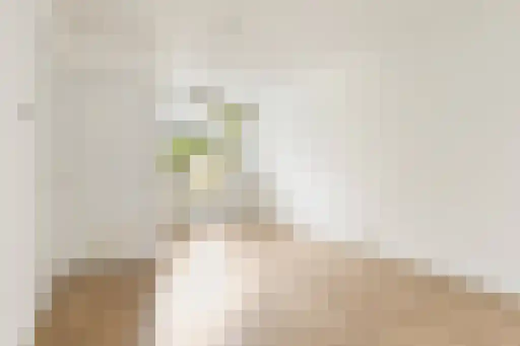 Van Bossestraat 40 2 Amsterdam thumbnail 7