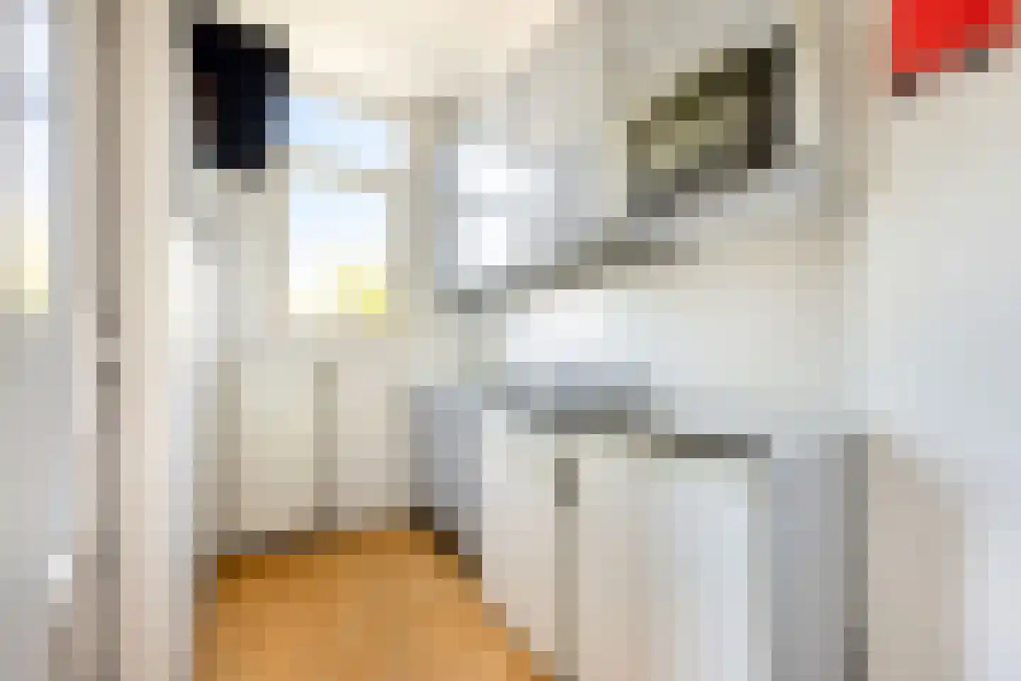 Van Bossestraat 42 Delft thumbnail 15