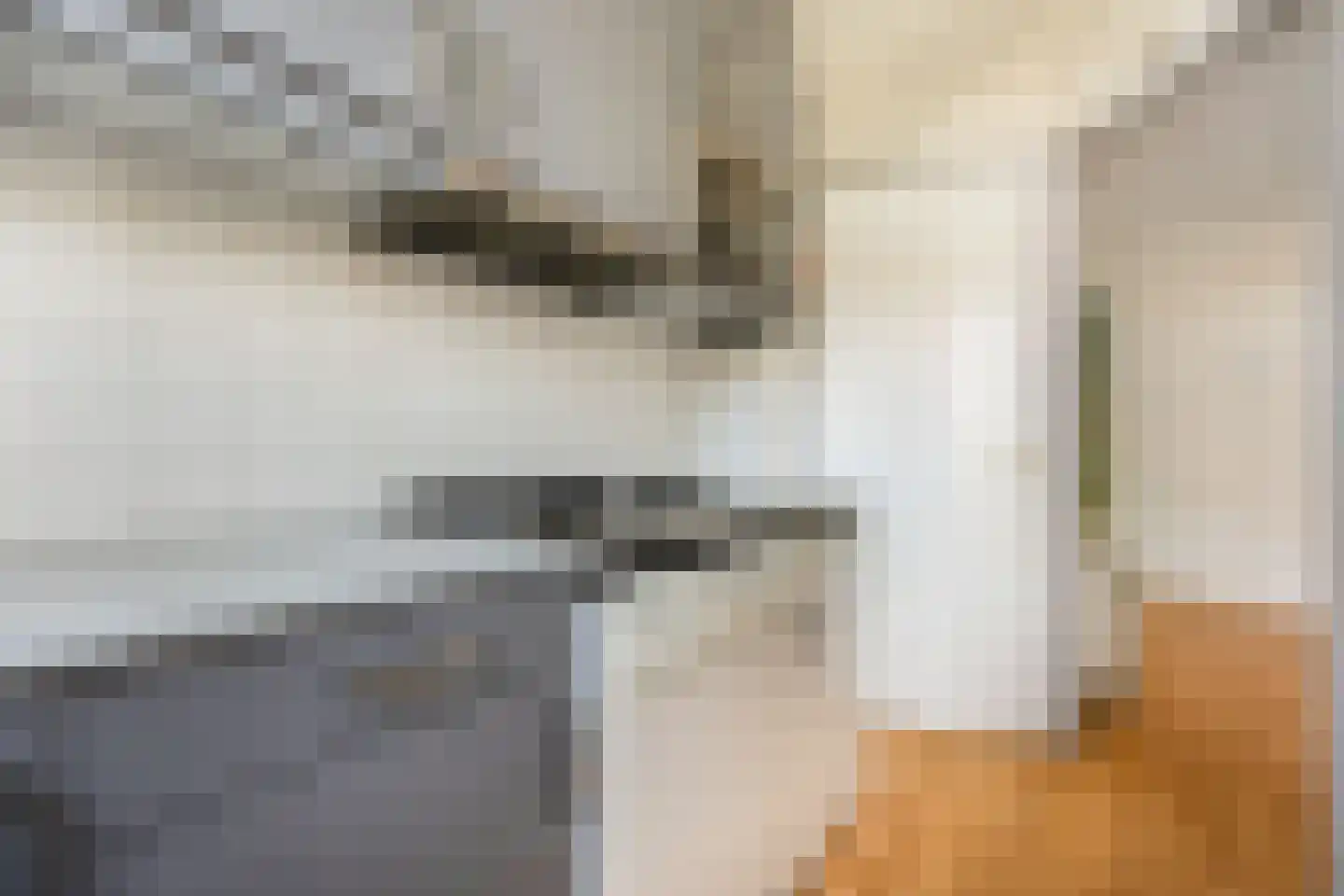 Van Bossestraat 42 Delft thumbnail 16