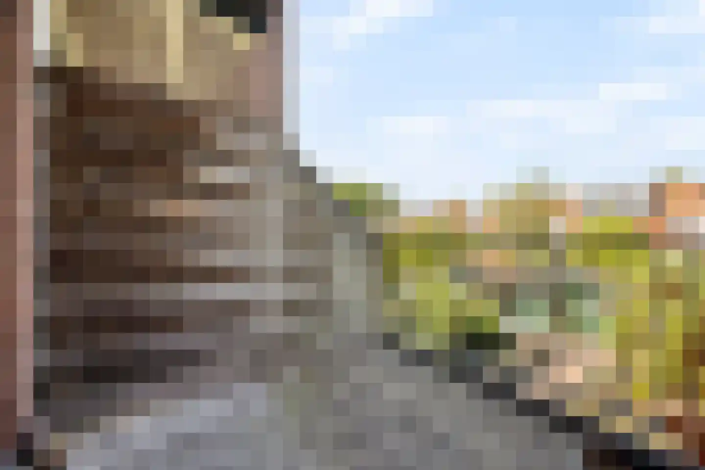 Van Bossestraat 42 Delft thumbnail 17