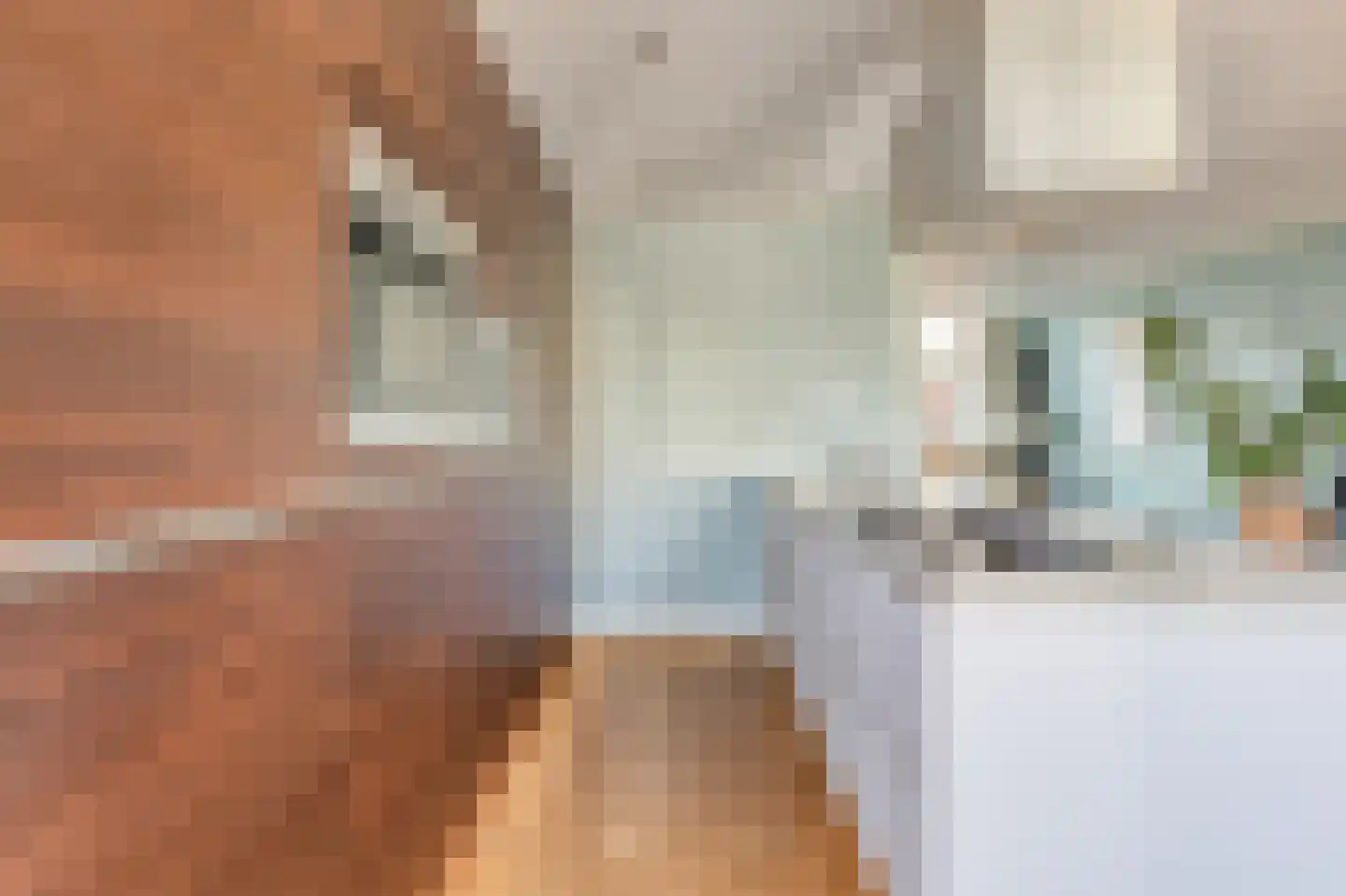 Van Bossestraat 43 3 Amsterdam thumbnail 8