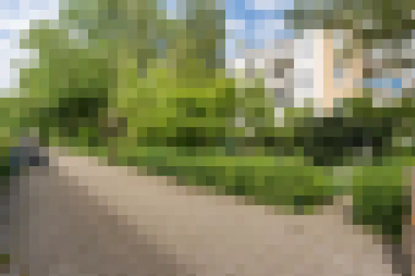 Van Bossestraat 52 1 Amsterdam thumbnail 18