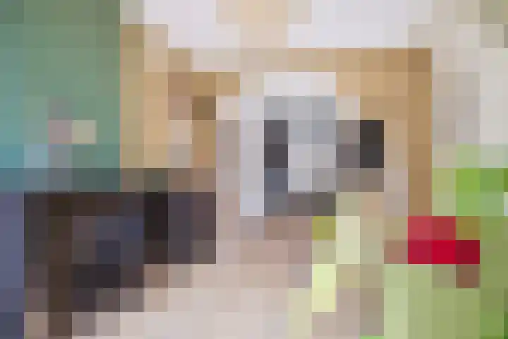 Van Bossestraat 6 Delft thumbnail 9