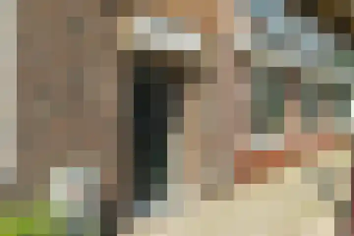 Van Bossestraat 62 3 Amsterdam thumbnail 18