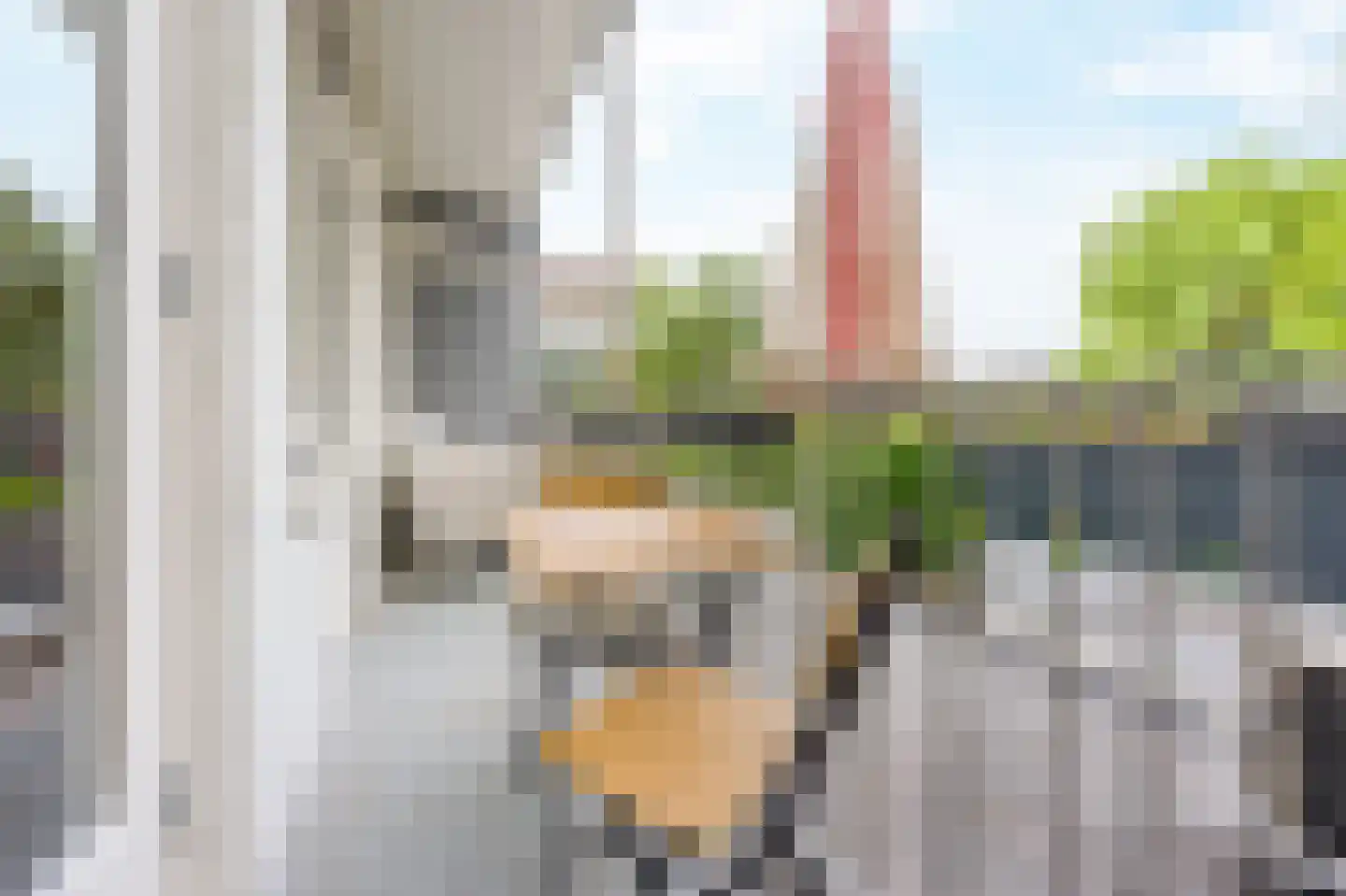 Van Bossestraat 70 1 Amsterdam thumbnail 10