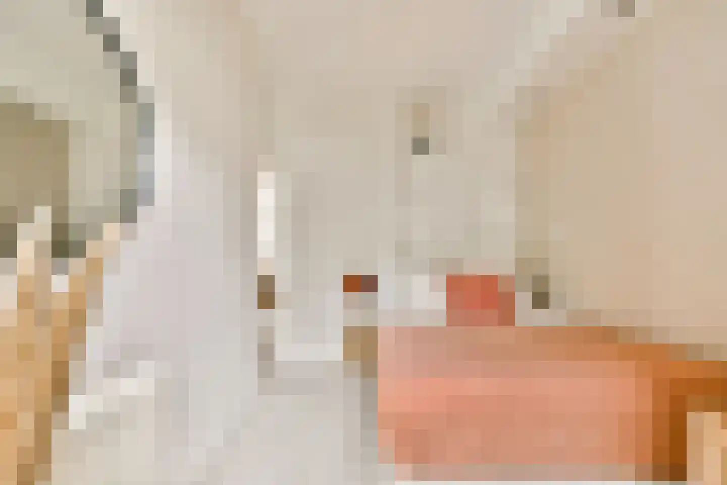 Van Bossestraat 71 2 Amsterdam thumbnail 13