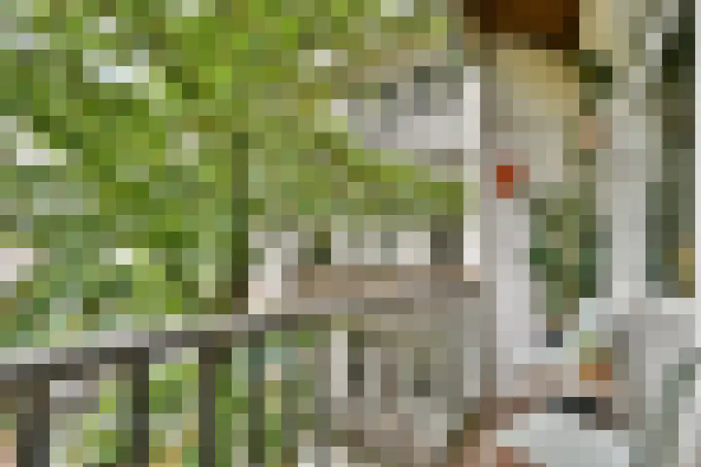 Van Bossestraat 71 2 Amsterdam thumbnail 14