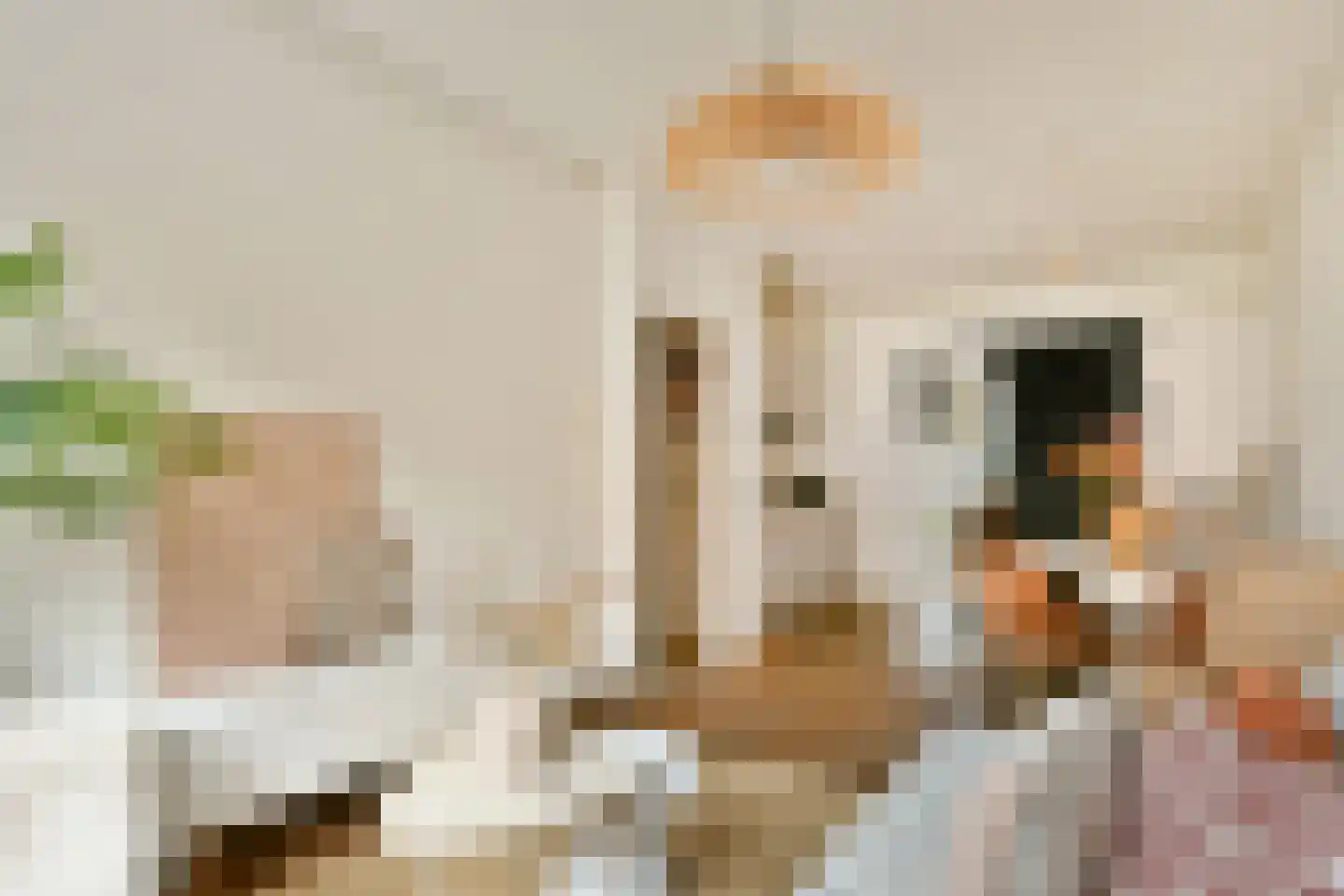 Van Bossestraat 71 2 Amsterdam thumbnail 6