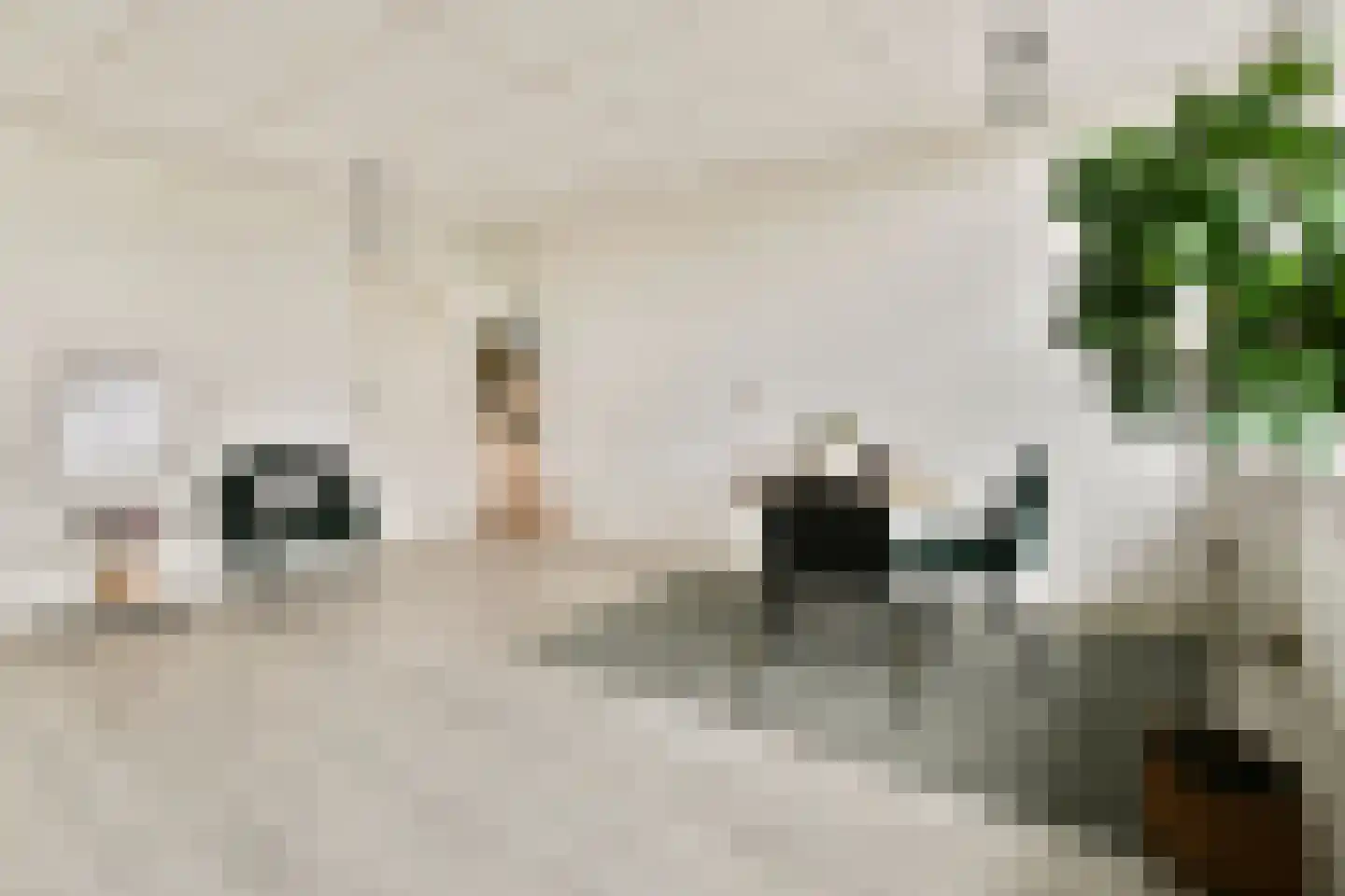 Van Bossestraat 74 3 Amsterdam thumbnail 6