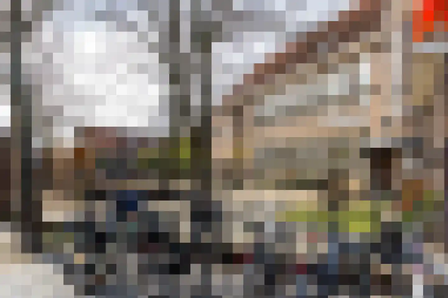 Van Bossestraat 90 Delft thumbnail 25