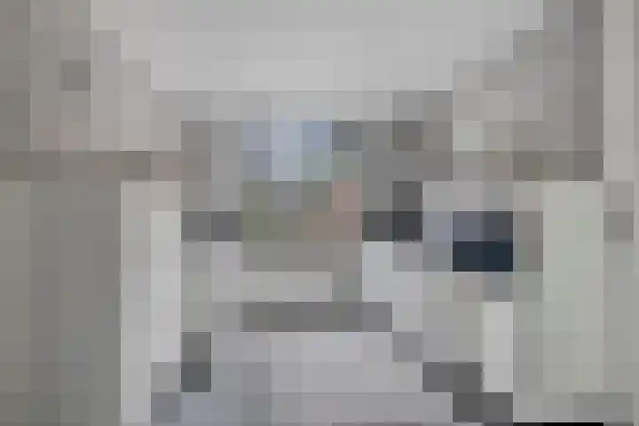 Van Bosseware 2 Zwolle thumbnail 11