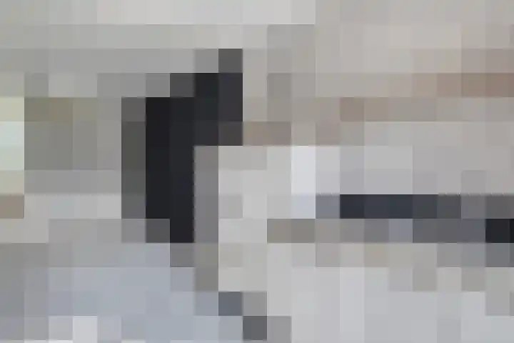 Van Bosseware 2 Zwolle thumbnail 12