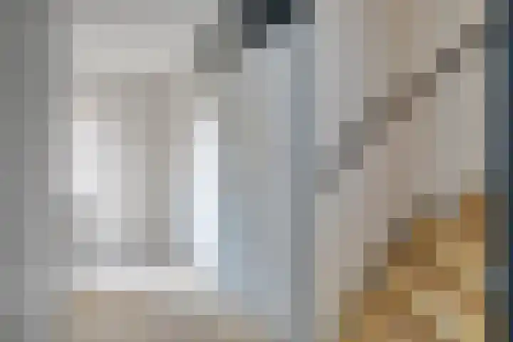 Van Bosseware 2 Zwolle thumbnail 15