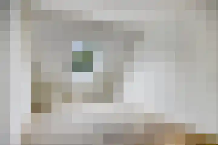 Van Bosseware 2 Zwolle thumbnail 17