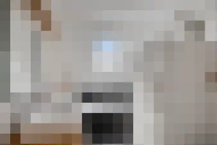 Van Bosseware 2 Zwolle thumbnail 19