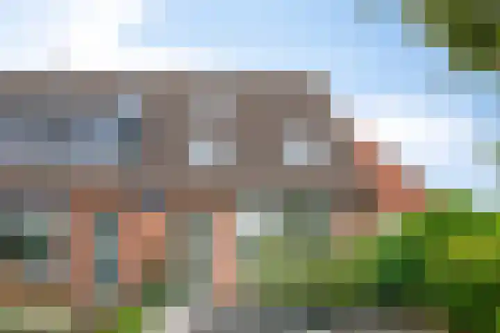 Van Bosseware 2 Zwolle foto 2