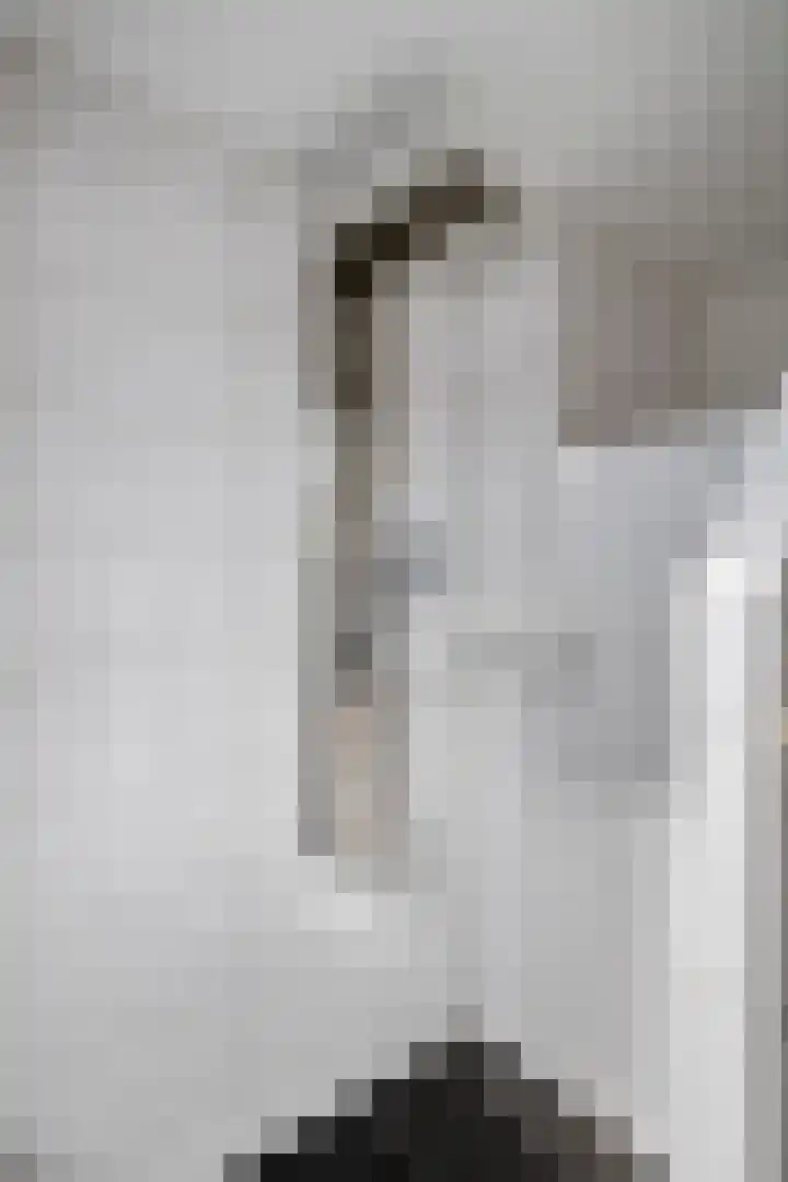 Van Bosseware 2 Zwolle thumbnail 21
